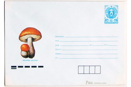 Fungi I - Leccinum aurantiacum