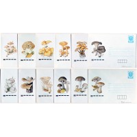 Fungi II - full set