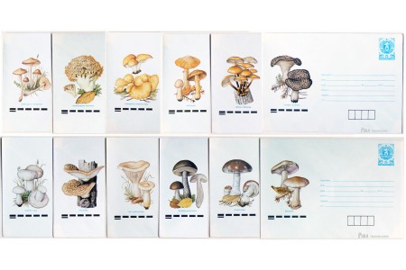 Fungi II - full set