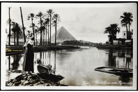 Flood near Pyramids