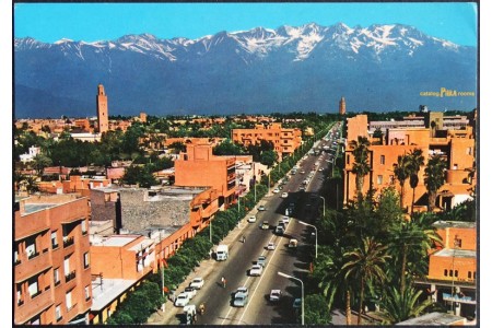 Gueliz - Marrakesh