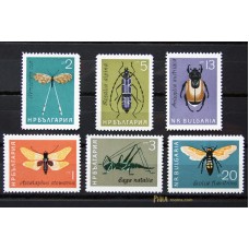 Insects