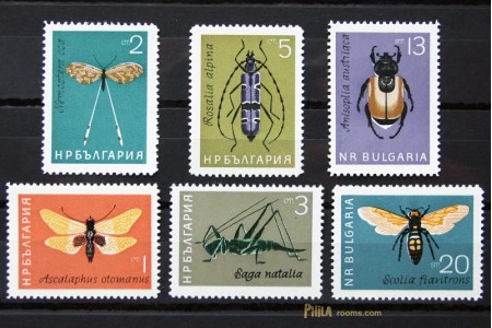 Insects