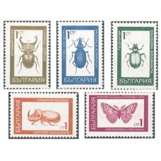 Insects