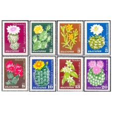 Cacti 1970
