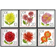 Dahlias - International Horticultural Exhibition, Erfurt