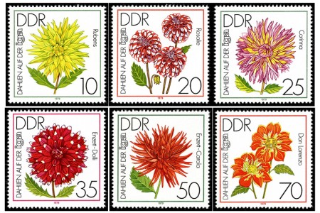 Dahlias - International Horticultural Exhibition, Erfurt