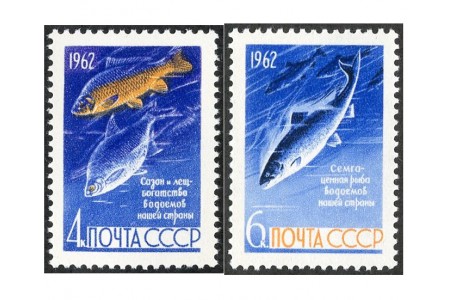 Fishes of USSR