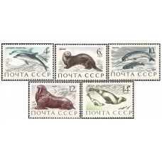 Marine Mammals