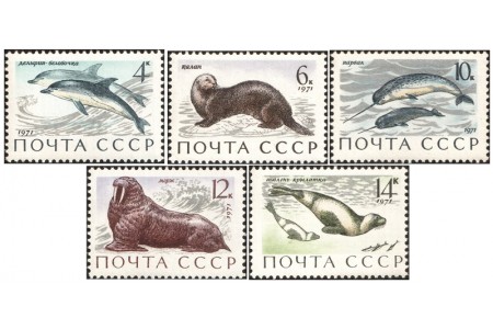 Marine Mammals